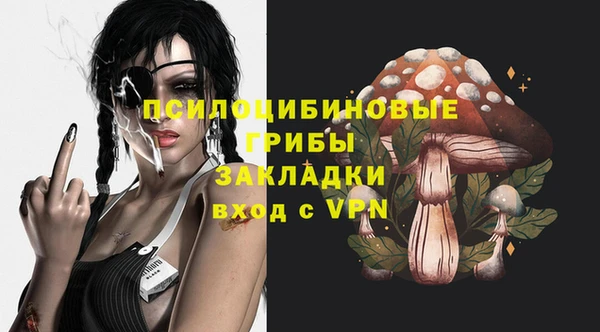2c-b Балахна
