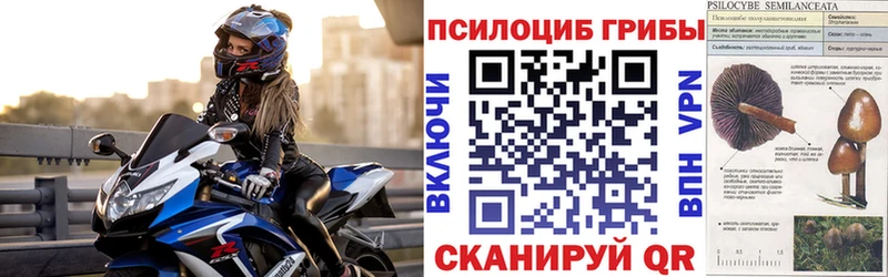 Псилоцибиновые грибы Magic Shrooms  как найти наркотики  Ужур 